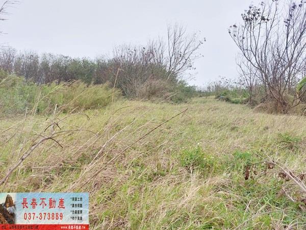 後龍農地-3