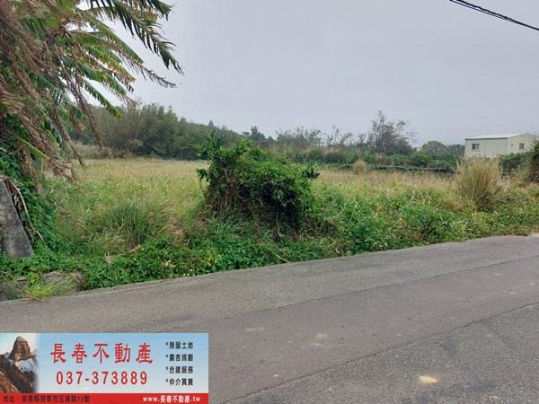 後龍農地-3