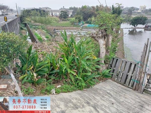 後龍農地-1