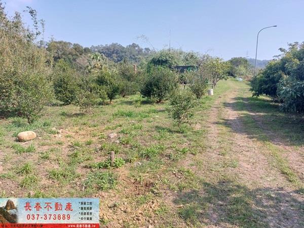 頭屋農地-3