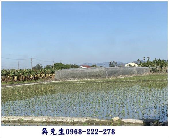 高樹農地-5
