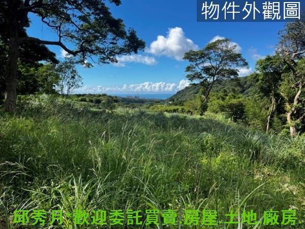 三芝農地-6