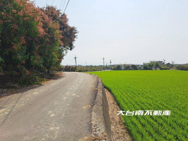 台南官田農地-10