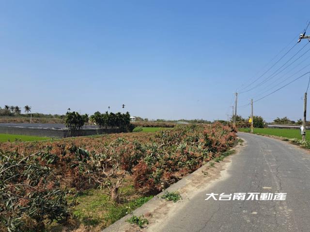 台南官田農地-9