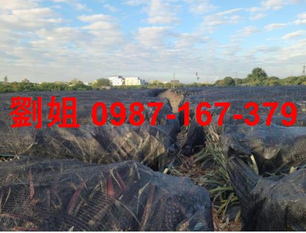 高雄大樹農地-1