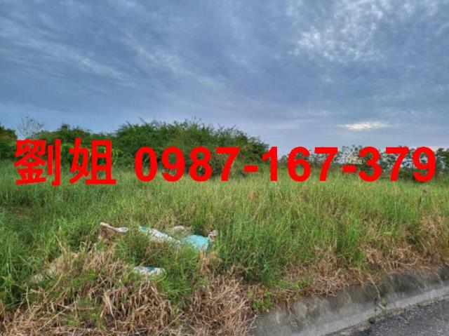台南下營農地-1