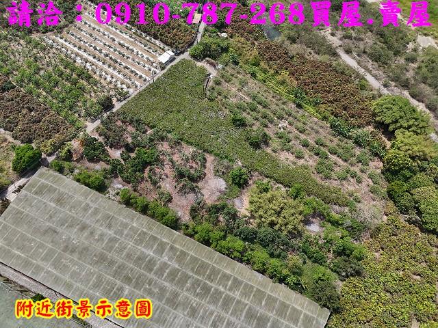 楠西農地-4