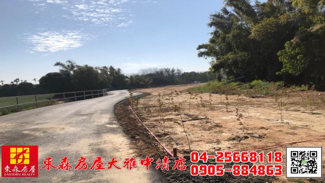 台中大雅農地-2