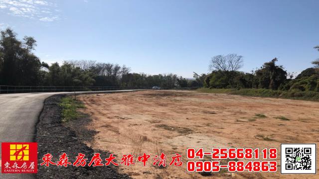 台中大雅農地-3
