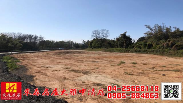 台中大雅農地-5