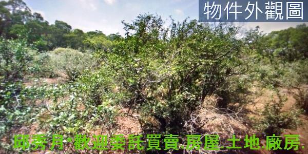 淡水農地-4