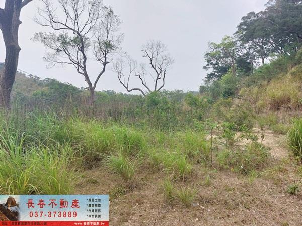 苗栗西湖農地-1