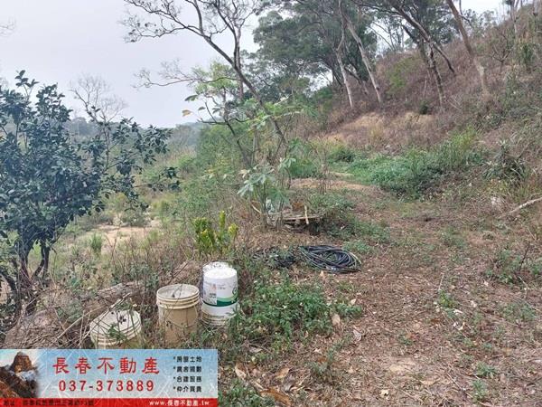 苗栗西湖農地-3