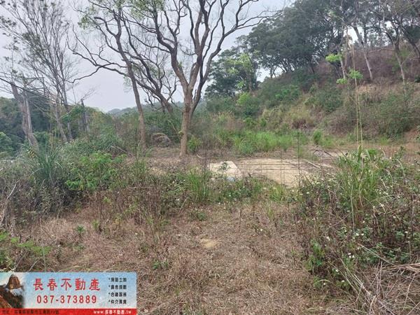 苗栗西湖農地-4
