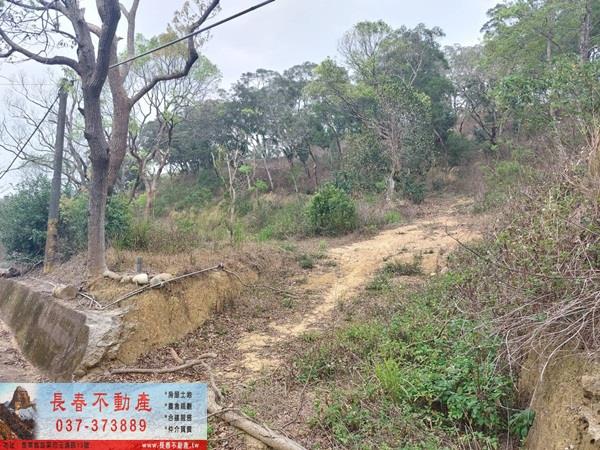苗栗西湖農地-5