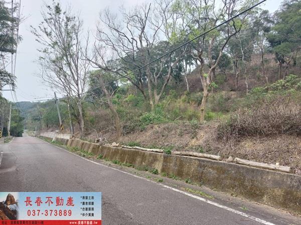 苗栗西湖農地-8