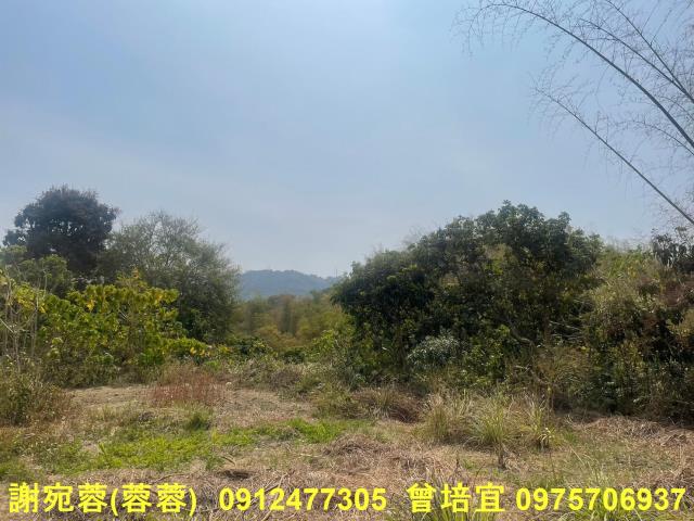 田寮農地-2
