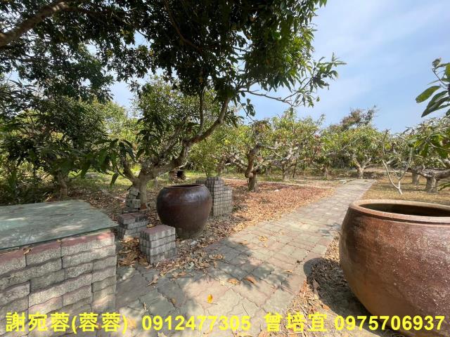 田寮農地-5