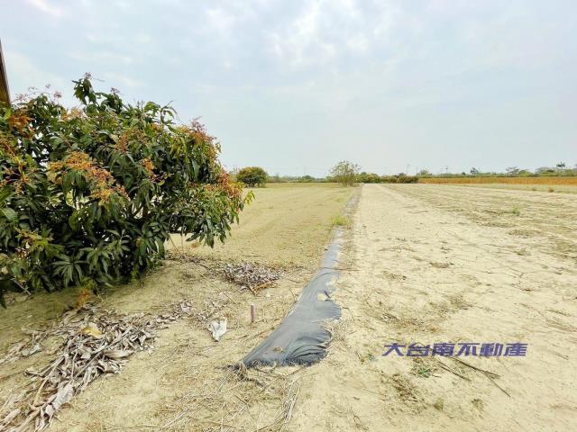 台南農地-1