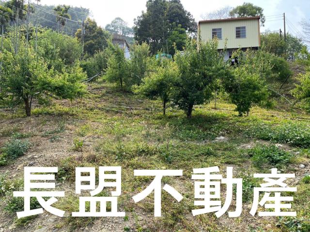 東勢休閒地-8