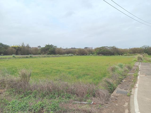 桃園農地-2