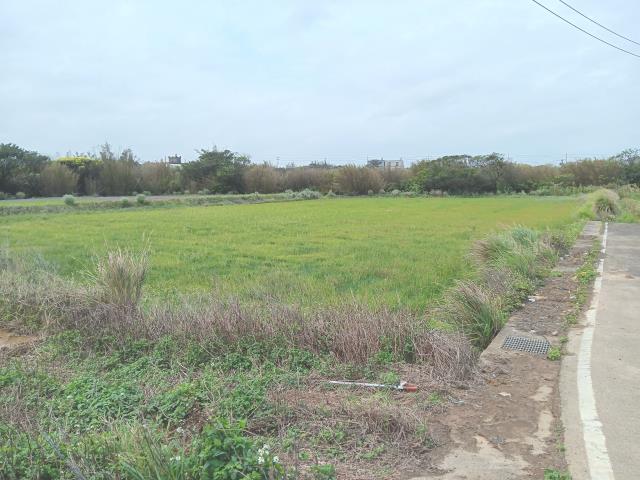 桃園農地-3