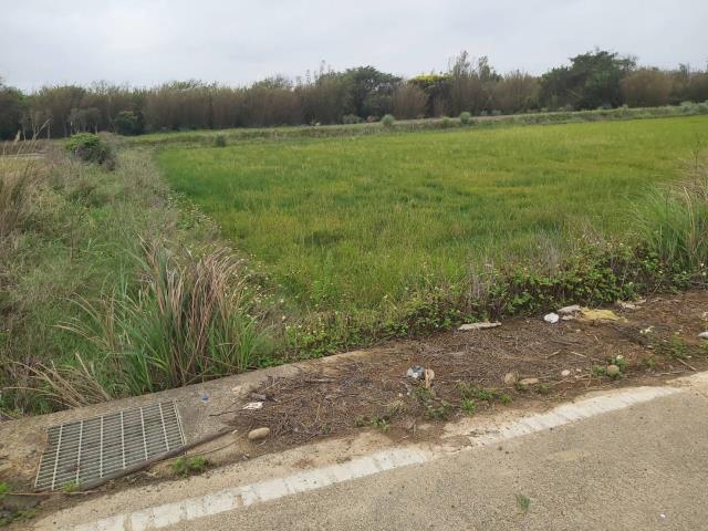 桃園觀音農地-3