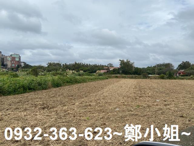 桃園農地-1