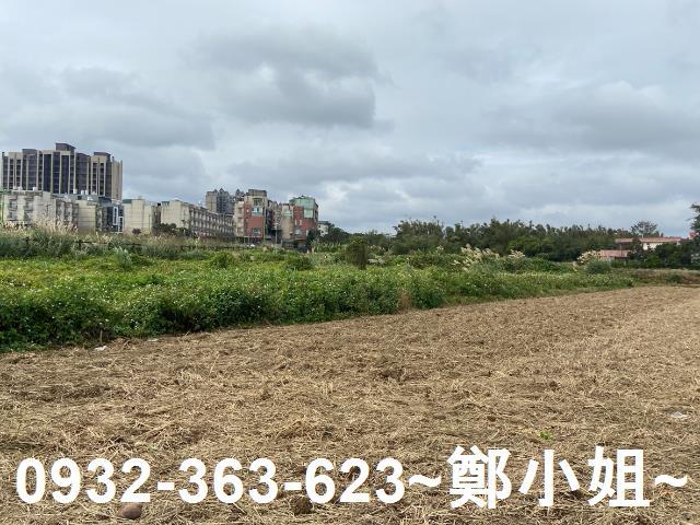桃園農地-9