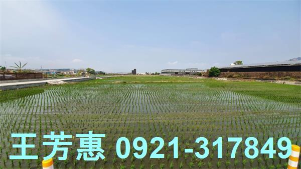 台中農地-6