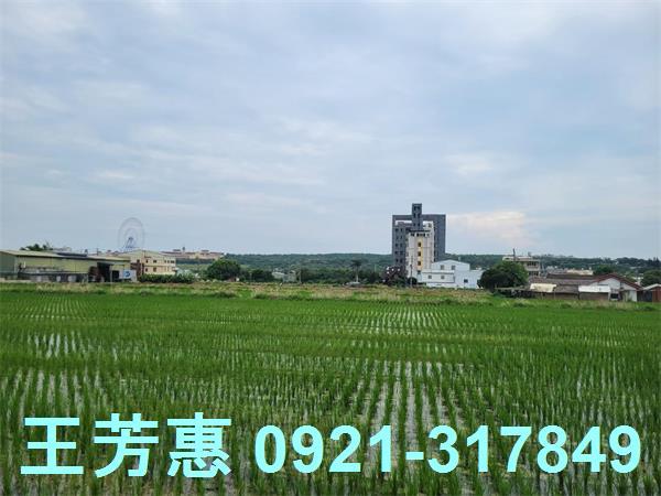 台中農地-3