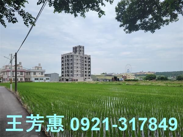 台中農地-4