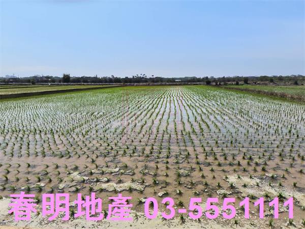 新竹湖口農地-2