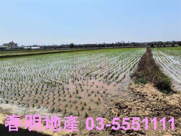 新竹湖口農地-6