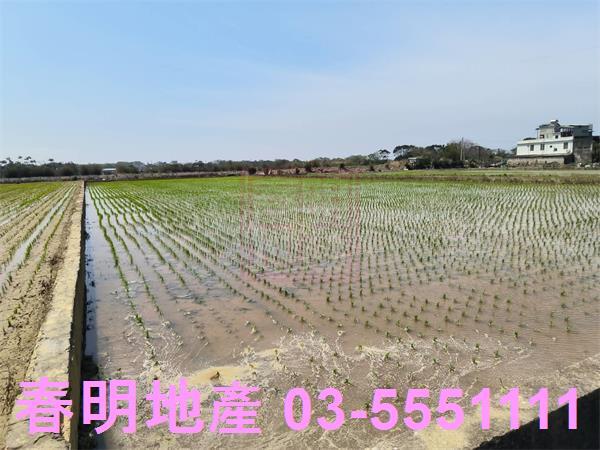 新竹湖口農地-7