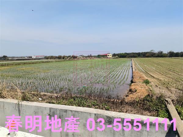 新竹湖口農地-8