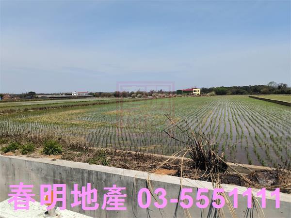 新竹湖口農地-9