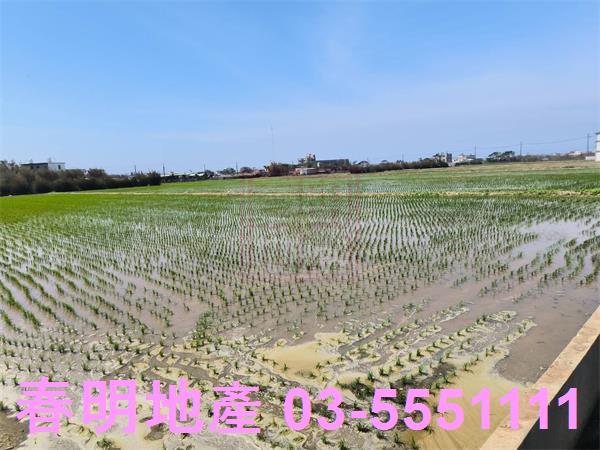 新竹新豐農地-1