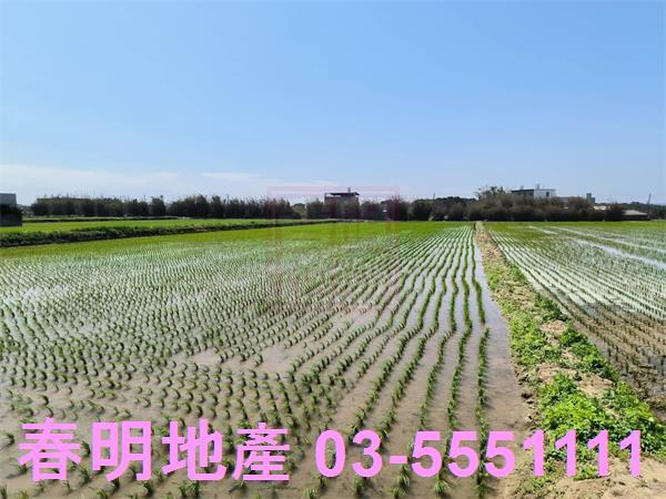 新竹新豐農地-2