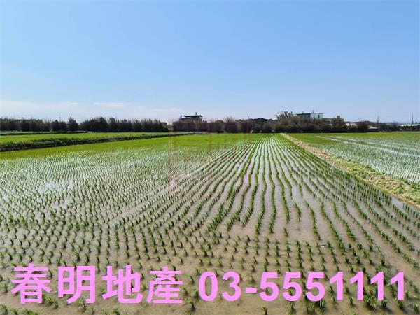 新竹新豐農地-5