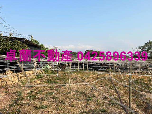 卓蘭農地-3