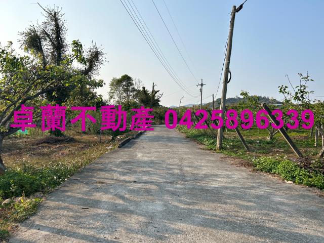 卓蘭農地-6