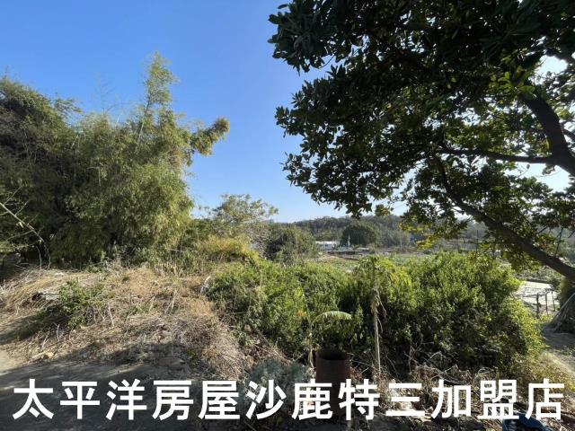 沙鹿建地-2