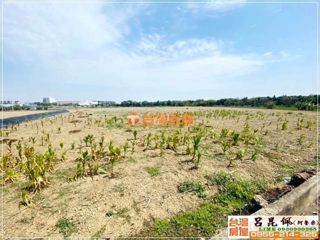 太保農地-4