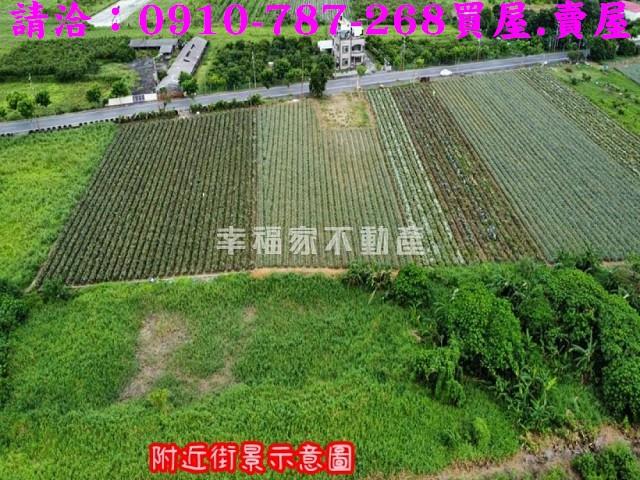 台南山上農地-10