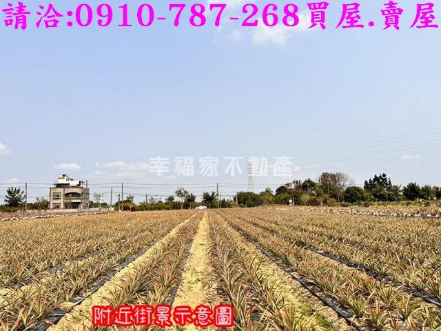 台南山上農地-11