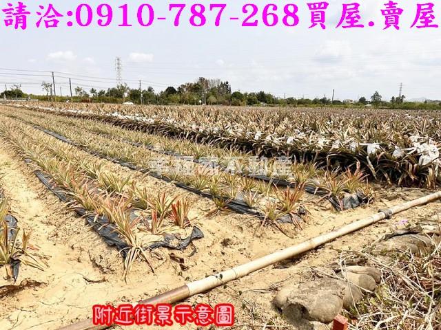 台南山上農地-4
