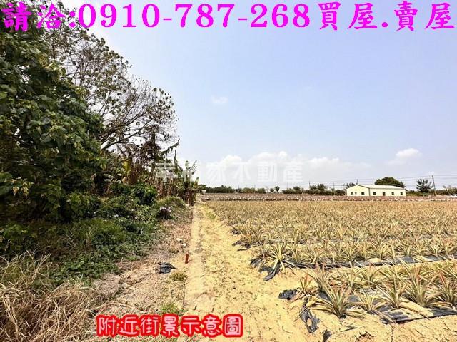 台南山上農地-6
