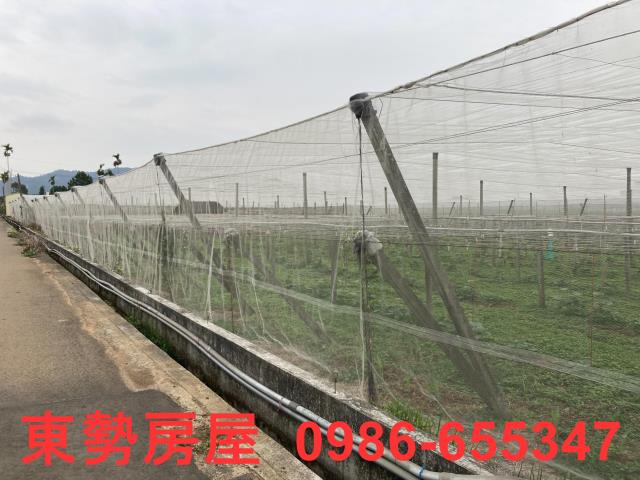台中農地-9