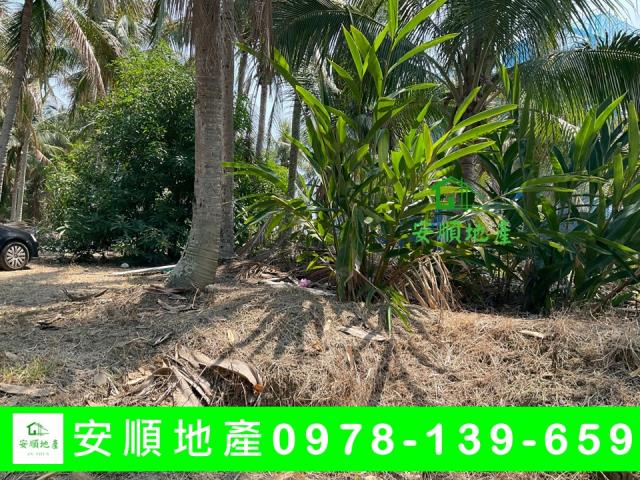 台東東河農地-1